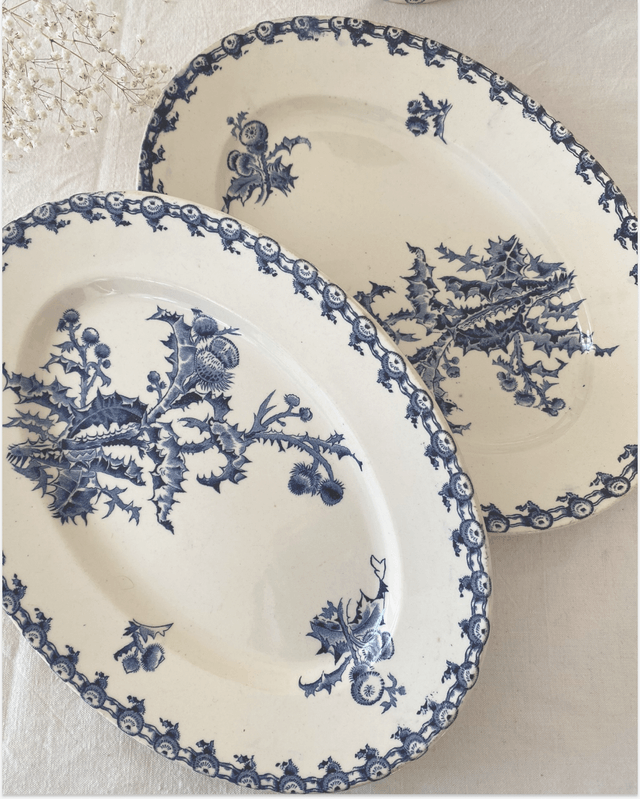 Plat Gien Chardon