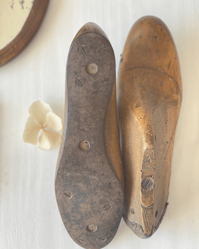 Formes de cordonnier