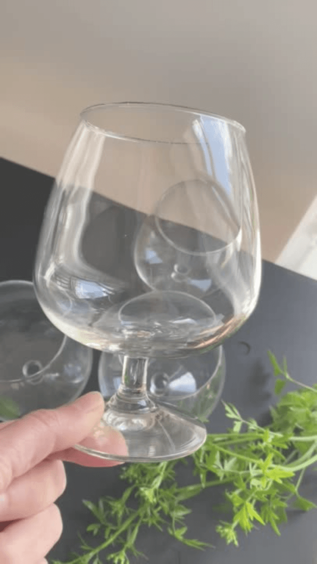 Verres Ballon (x4)