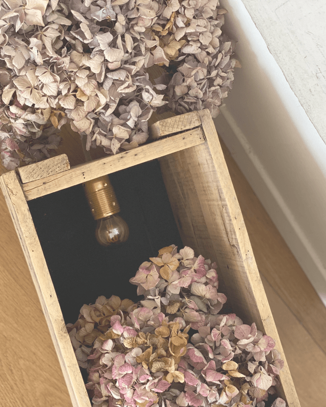 Caisse Luminaire