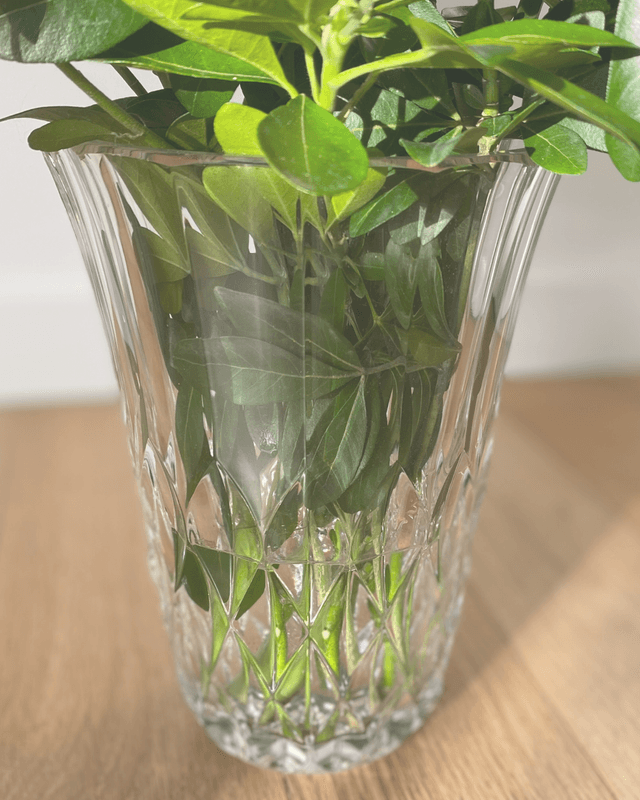 Vase Val Saint Lambert