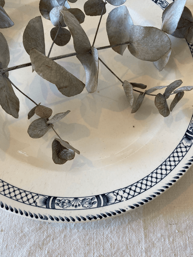 Assiettes creuses Terre de fer Salins Vauban (x6)