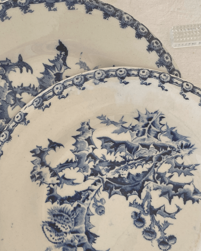 Assiettes Gien Chardons (x6)