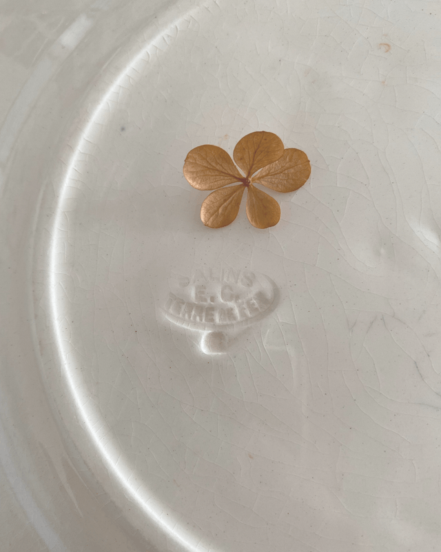 Assiettes creuses Terre de fer Salins Vauban (x6)