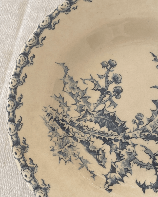 Assiettes Gien Chardons (x6)