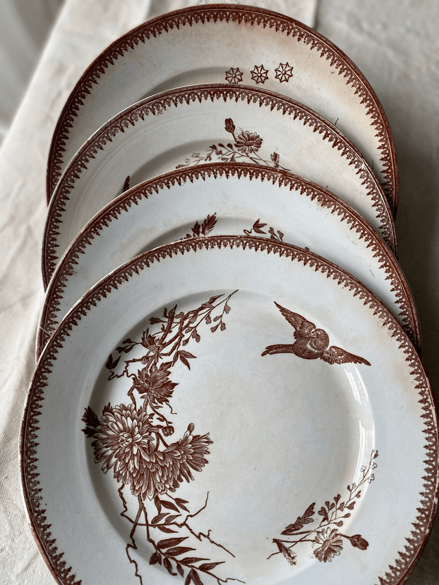 Assiettes Terre de fer Pexonne (x4)