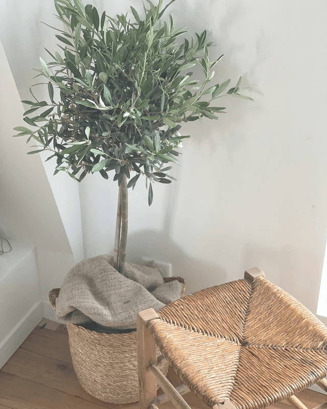 Tabouret Paille