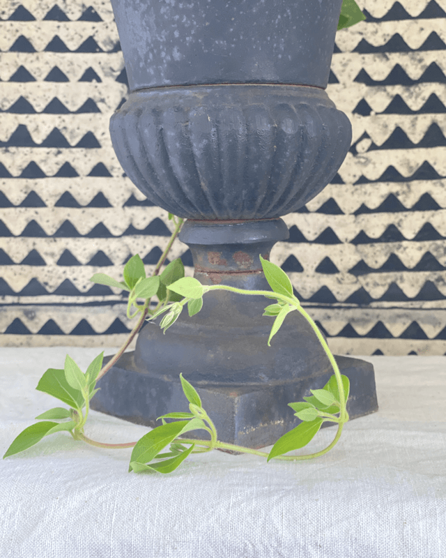 Vase Médicis en fonte