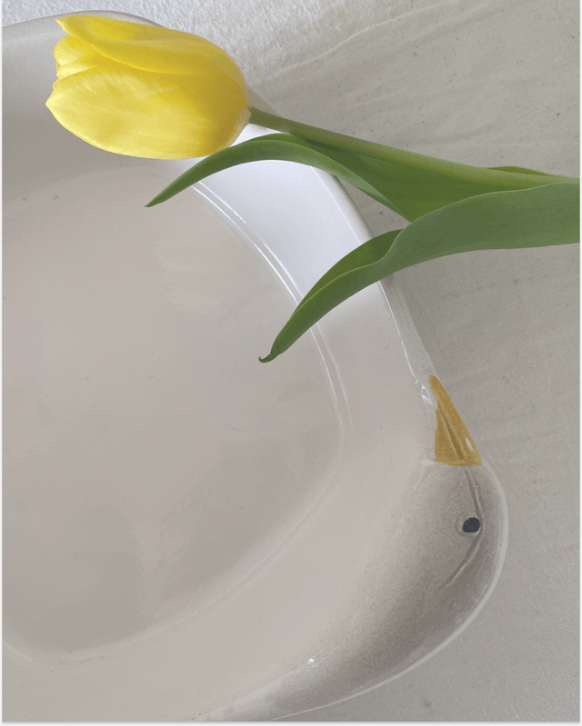 Plat Oies blanches et grises