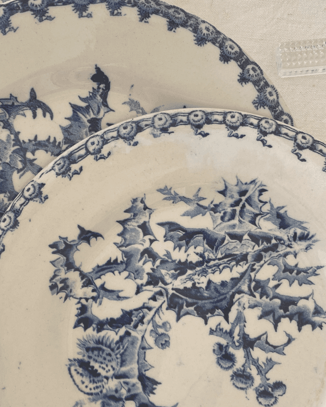 Assiettes Gien Chardons (x6)
