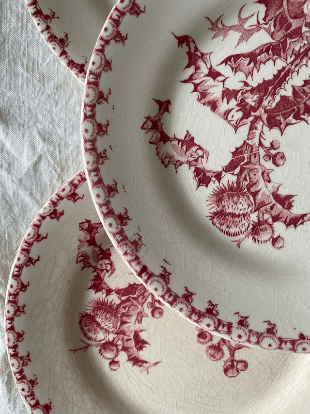 Assiettes Gien Chardons (x4)