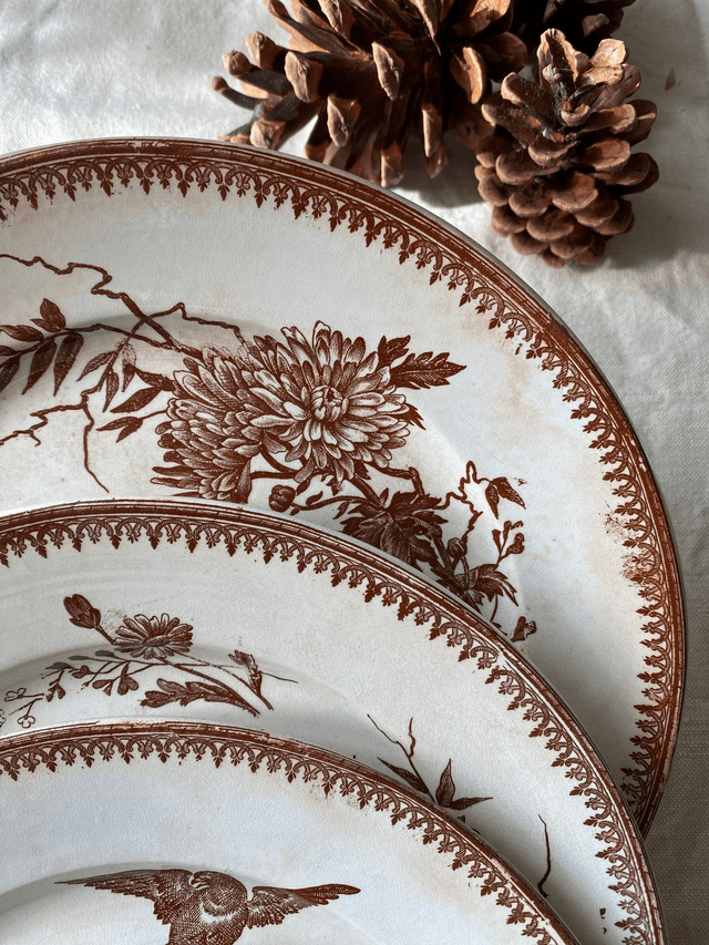 Assiettes Terre de fer Pexonne (x4)
