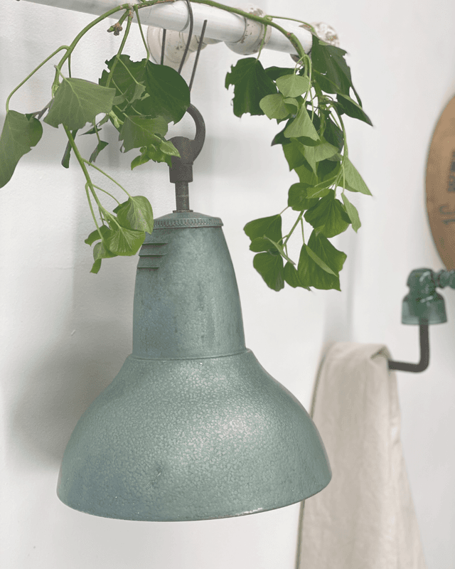 Suspension Industrielle Holophane Paris