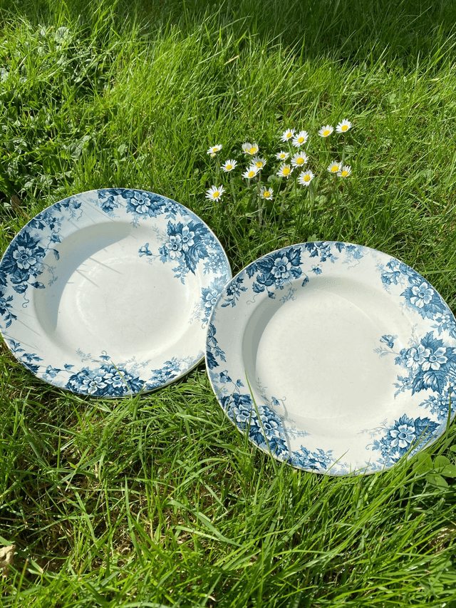 Assiettes Terre de fer Marie Louise (x2)